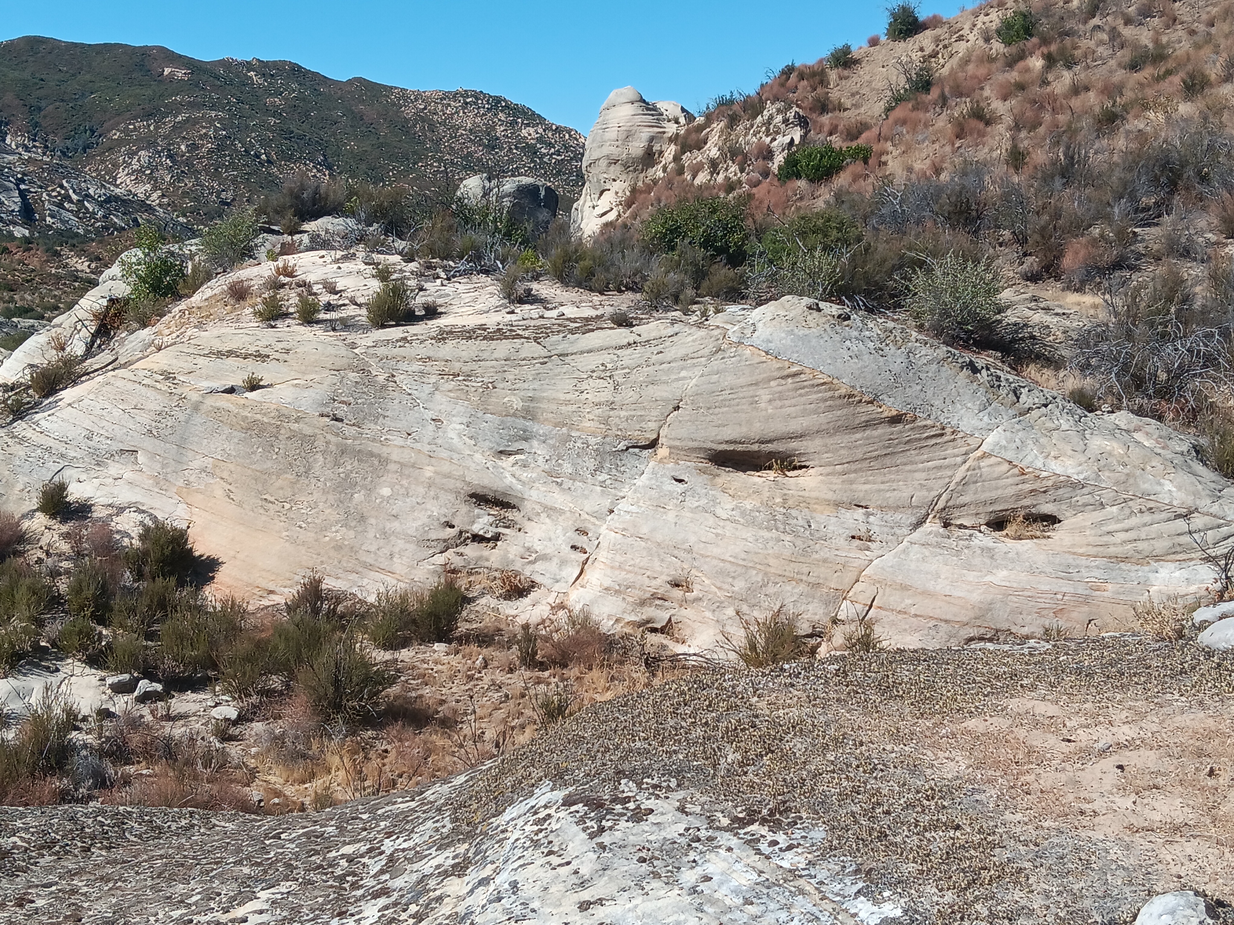 Geological Consulting